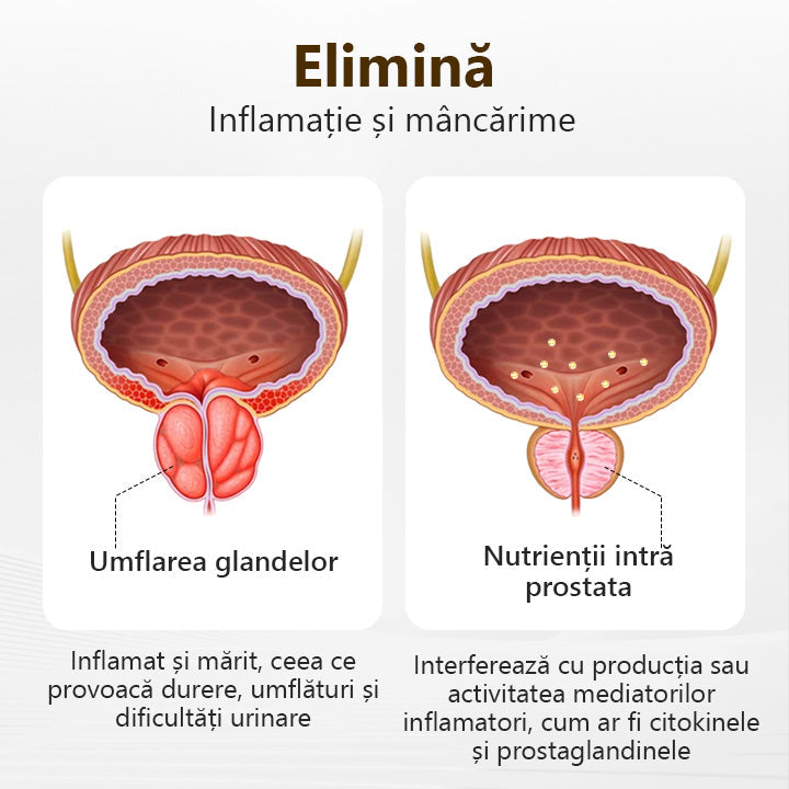 ProstaVibe Inhalator de Sănătate Pentru Albine